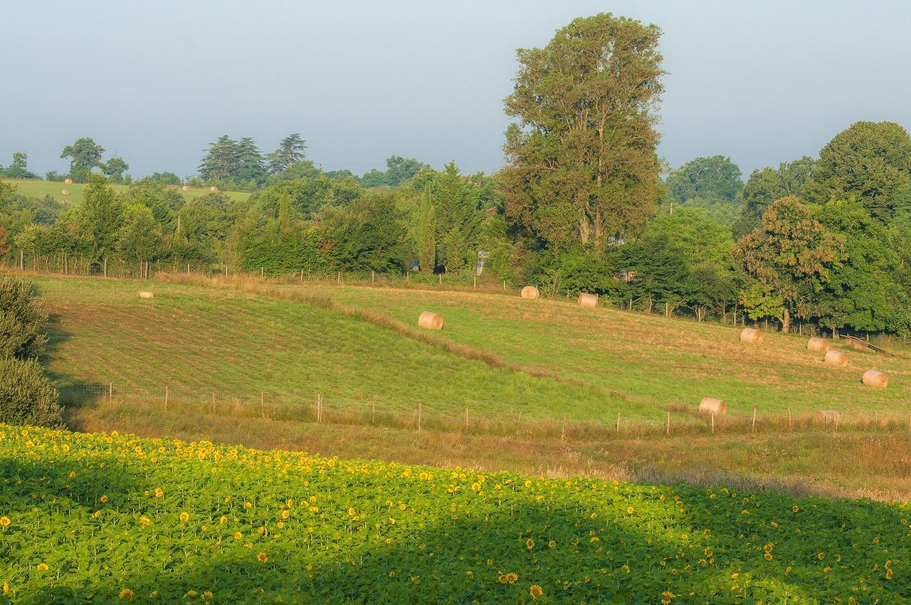 Les Maisons Du Golf D'armagnac *